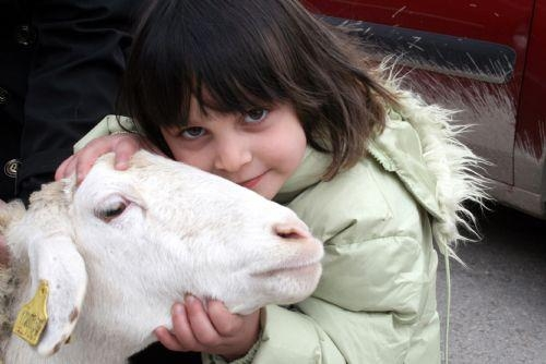 Qurbani Rules in Islam