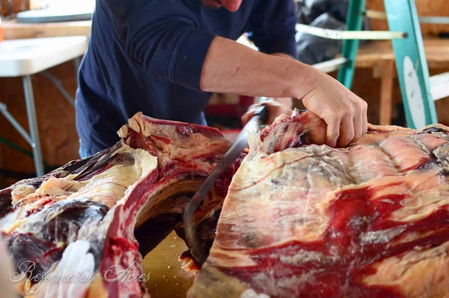 Qurbani Ke Janwar Ko Zibah Karne Ki Dua