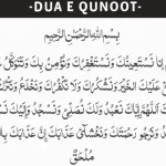 witr ki dua​ Paistan related keywords witr ki dua​ witr ke baad ki dua​ witr namaz ki dua​ namaz e witr ki dua​ namaz witr ki dua​ witr ki dua qunoot​ 3 witr ki dua​ witr ki dua ahle hadees​ witr ki dua​ witr namaz ki dua​ witr ki dua in english​ witr ki namaz ki dua​ witr ki dua in hindi​ witr ke baad ki dua3 witr ki dua​ witr namaz ki dua in english​ witr ki dua ahle hadees​ namaz e witr ki du
