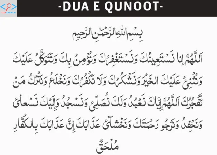 witr ki dua​ Paistan related keywords witr ki dua​ witr ke baad ki dua​ witr namaz ki dua​ namaz e witr ki dua​ namaz witr ki dua​ witr ki dua qunoot​ 3 witr ki dua​ witr ki dua ahle hadees​ witr ki dua​ witr namaz ki dua​ witr ki dua in english​ witr ki namaz ki dua​ witr ki dua in hindi​ witr ke baad ki dua3 witr ki dua​ witr namaz ki dua in english​ witr ki dua ahle hadees​ namaz e witr ki du